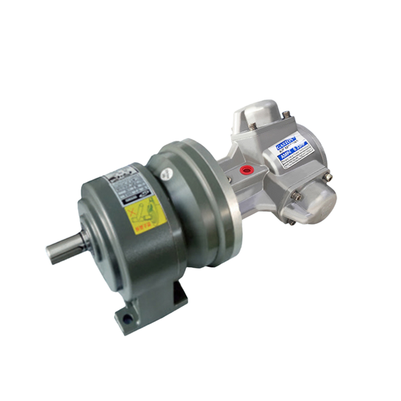 Motore pneumatico a coppia elevata e bassa velocità AMP4-C