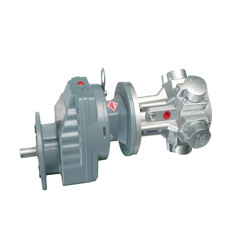 AMP6-R Motore pneumatico con riduzione a bassa velocità